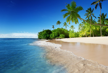 Fotobehang - caribbean sea and palms