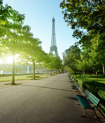 Poster - sunny morning and Eiffel Tower, Paris, France