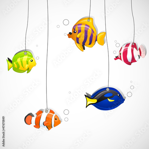 Obraz w ramie Vector Illustration of Colorful Ornamental Fishes