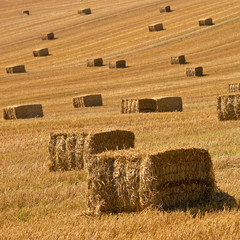 Sticker - Straw bales background