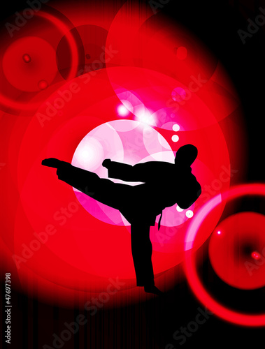 Fotoboard na płycie Ilustracja karate