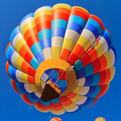 Wall Mural - colorful hot air balloons