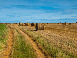 Wall Mural - straw bales trail