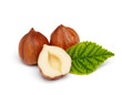 Hazelnuts with leaf isolated on white background