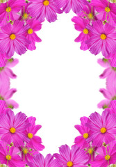 Wall Mural - large pink flowers frame isolated on white