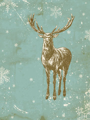 Wall Mural - Deer