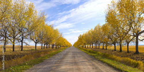 Board z aluminiowym obramowaniem Piękna wiejska scena