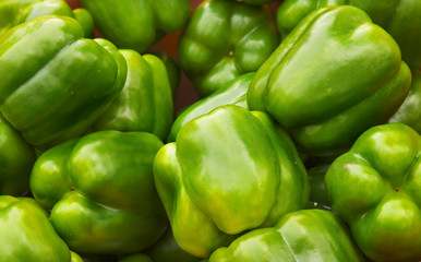 Green Bell Pepper Pile