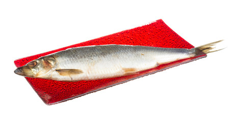 Salted herring