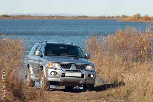 Naklejka na szafę Car near the pond