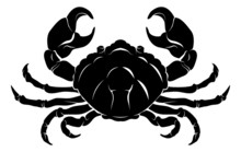 Stylised Crab Illustration