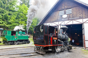 Sticker - steam locomotives,Museum of Kysuce village,Vychylovka, Slovakia