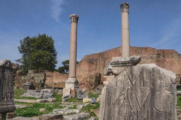 Canvas Print - The Forum Romanum in Rome, Italy