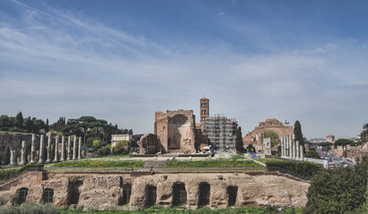 Poster - The Forum Romanum in Rome, Italy