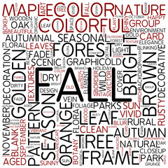 Wall Mural - fall