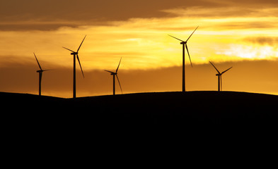 Wind farm at sunset