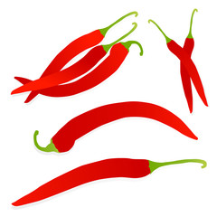 Red chili pepper detailed illustration background vector