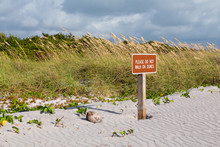 Keep Off Dunes Sign In Florida