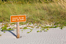 Keep Off Dunes Sign In Florida