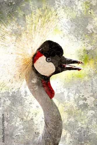 Fototapeta na wymiar Crowned Crane. Artistic portrait with textured background