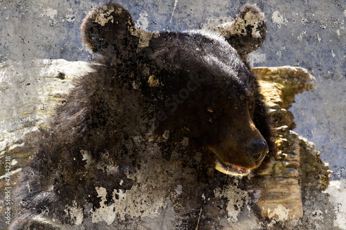 Naklejka na szybę Artistic image with background texture bear head