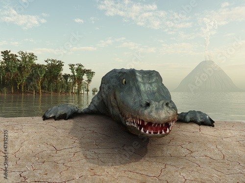 Naklejka samoprzylepna Płazy zamieszkują ziemię