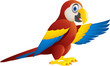 Macaw bird waving