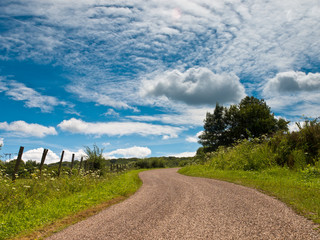 Canvas Print - Winding Country Road