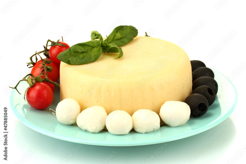 cheese mozzarella with vegetables in the plate isolataed