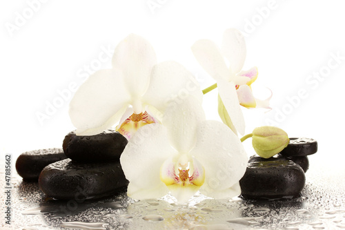 Board z aluminiowym obramowaniem Kamienie spa i kwiaty orchidei, odizolowane na białym.