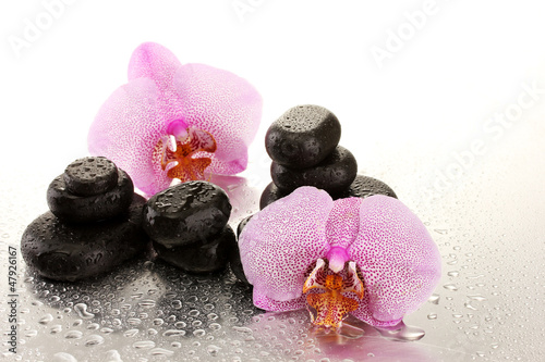 Board z aluminiowym obramowaniem Kamienie spa i kwiaty orchidei, na mokrym tle.