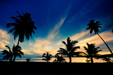 Tropical sunset in the warm summer light