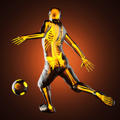 Wall Mural - soccer game player