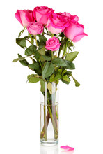 Beautiful Pink Roses In Vase Isolated On White