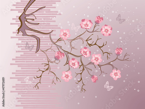 Tapeta ścienna Kwiat sakura, ilustracji wektorowych