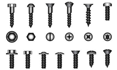 Set of screws, vector