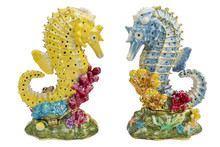 Sea Horses In Love Isolated