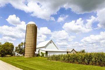 Wall Mural - American Countryside in Summer Time