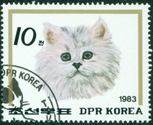 Stamp Printed In DPR KOREA Shows Persian Cat