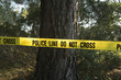 Crime scene in the forest