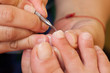 © Alexander Gospodinov - Pedicure procedure