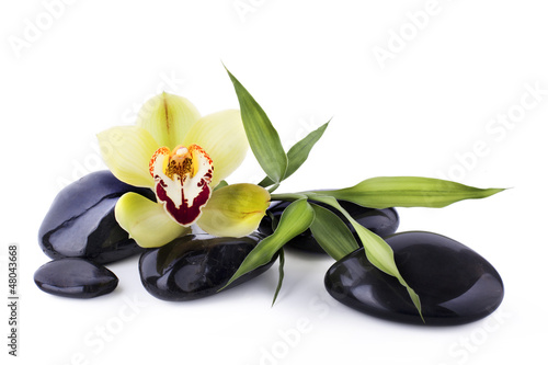 Obraz w ramie Galets Noir et Orchidée