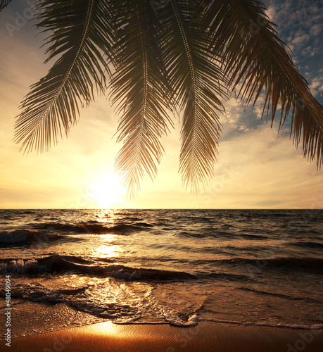 Nowoczesny obraz na płótnie Tropical beach