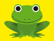 Cute happy smiling green frog