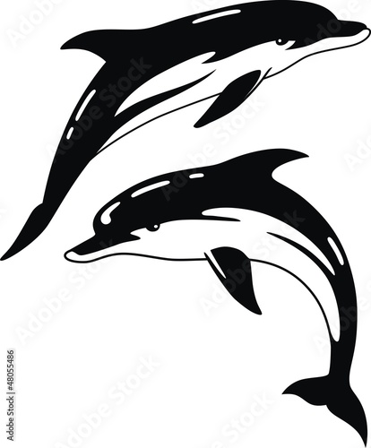 Naklejka dekoracyjna Dolphins