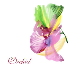 Wall Mural - Orchid