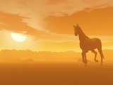 Fototapeta Konie - Horse in the desert by sunset - 3D render