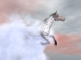 Fototapeta Konie - Surrealistic horse galloping