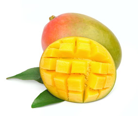 Poster - Mango fetus fruit