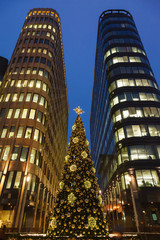 Christmas tree and skyscrapers